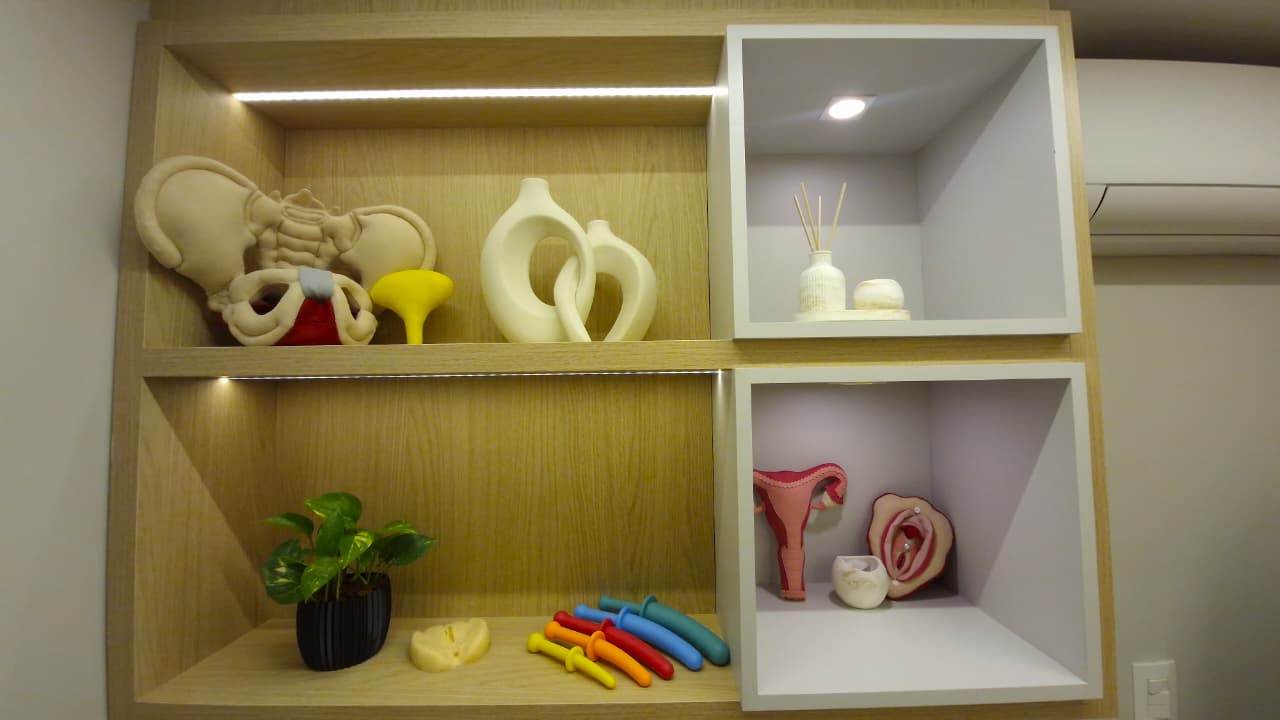 Detalhes do ambiente e recursos educativos da Plena Saúde Pélvica